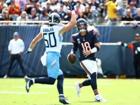 Tennessee Titans vs Chicago Bears Match Player Stats